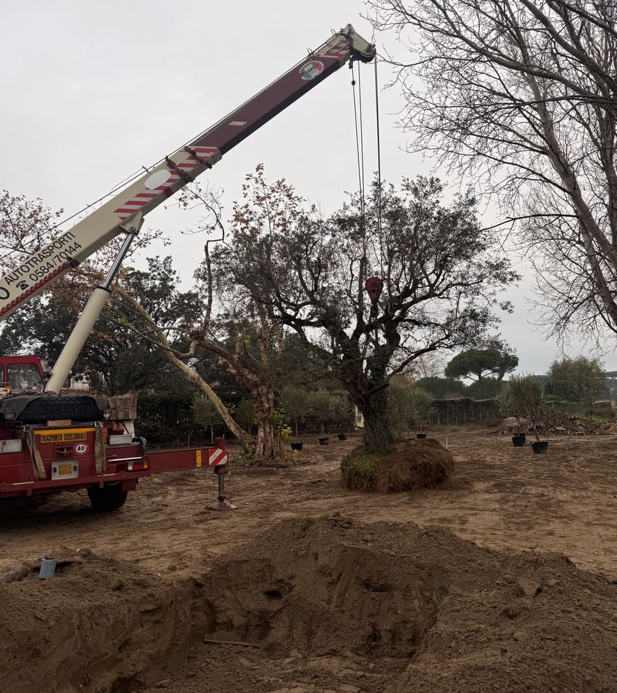 matana-lavorazioni-speciali-5