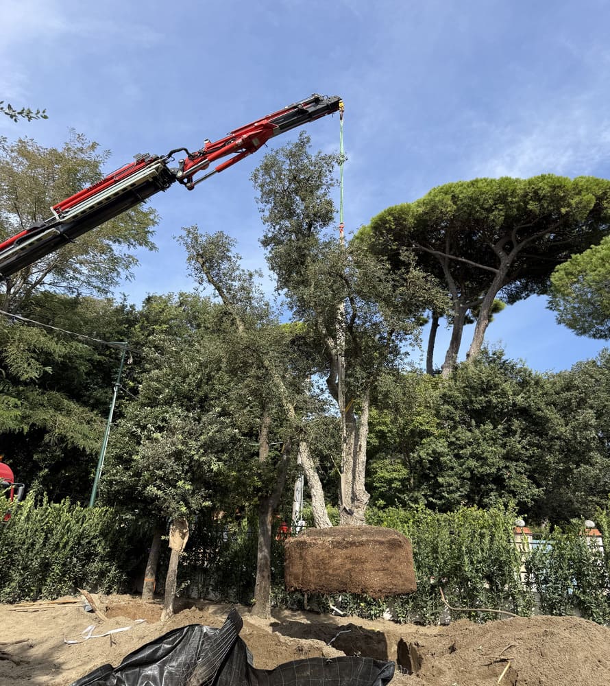 matana-lavorazioni-speciali-6