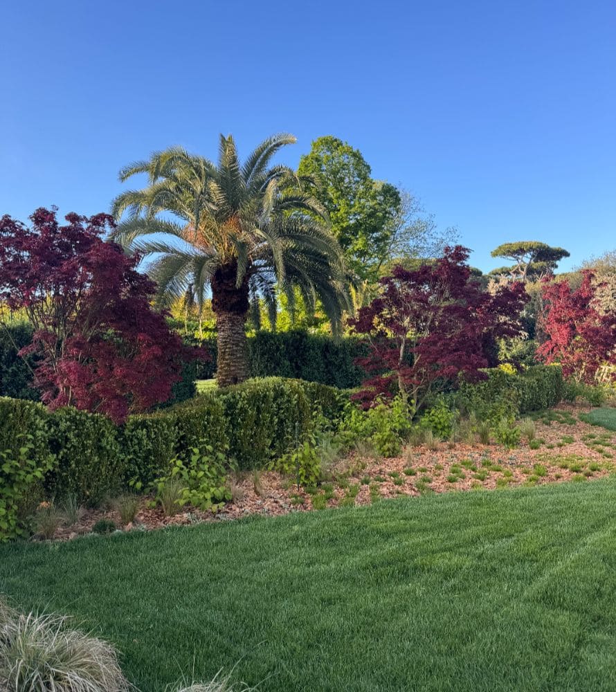 matana-manutenzione-giardini-10