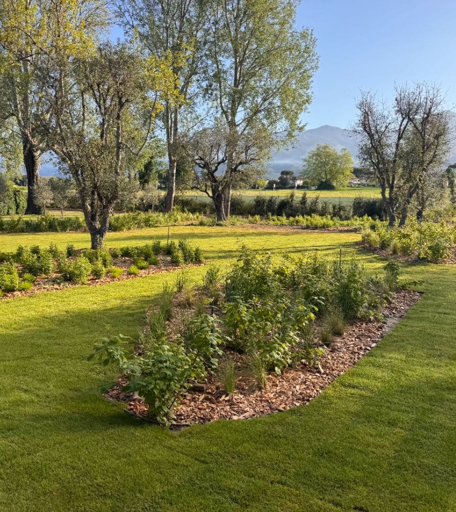 matana-manutenzione-giardini-11