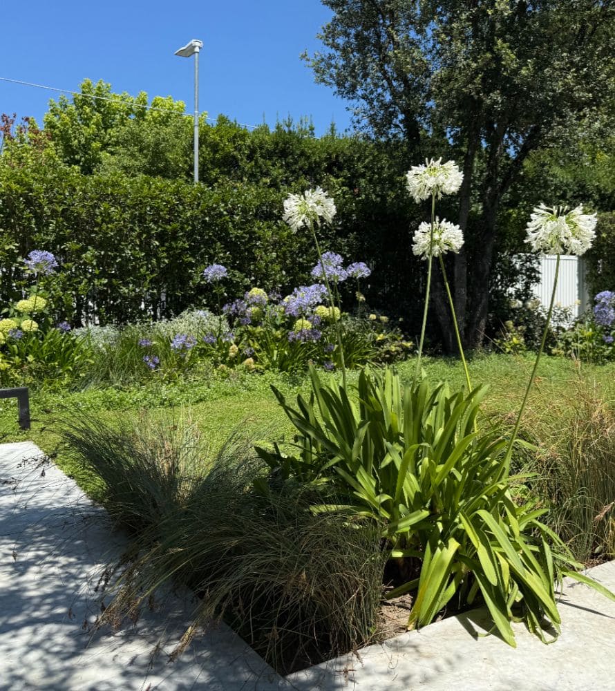 matana-manutenzione-giardini-4