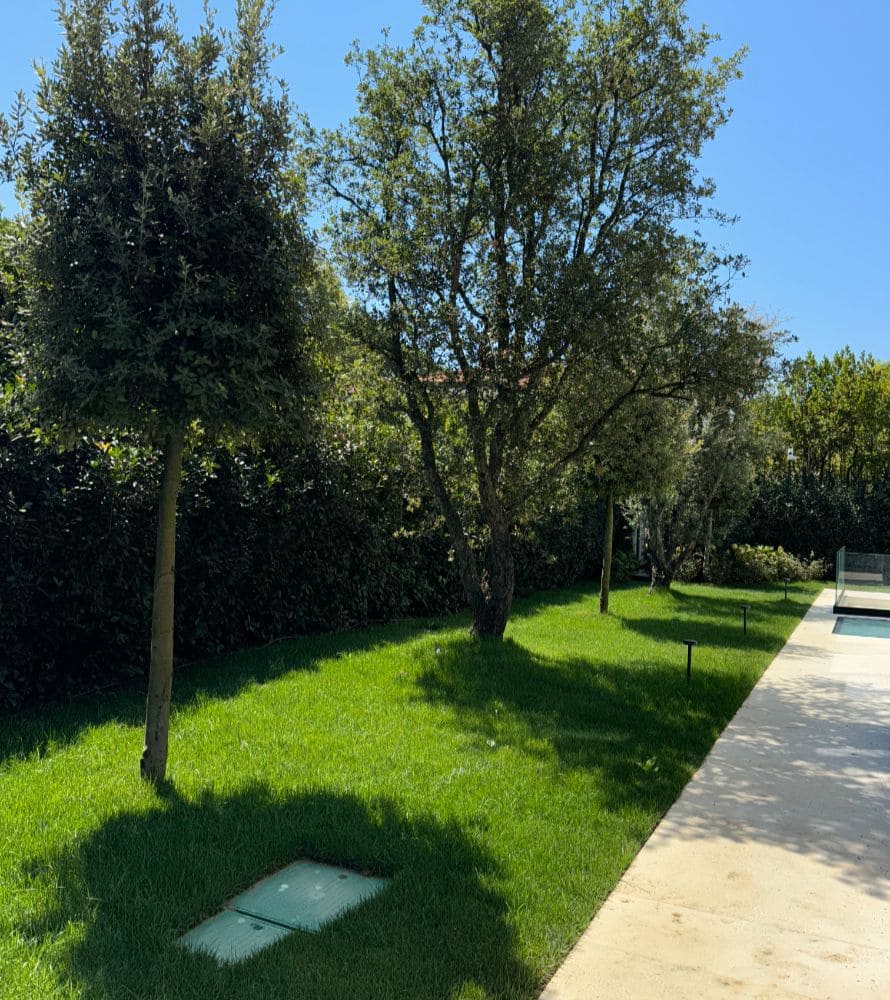 matana-manutenzione-giardini-6