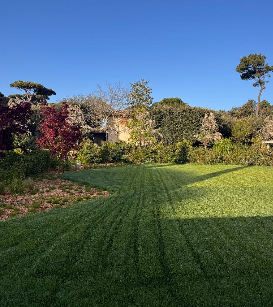 matana-manutenzione-giardini-8