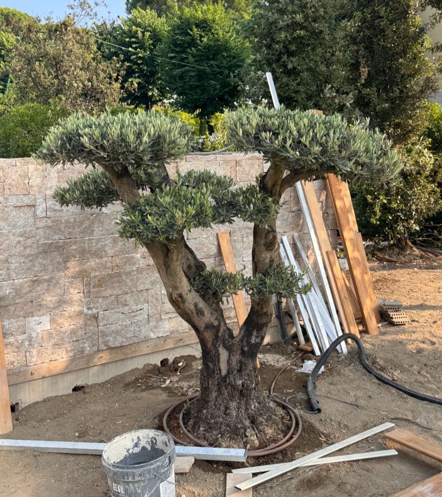 matana-progettazione-giardini-10