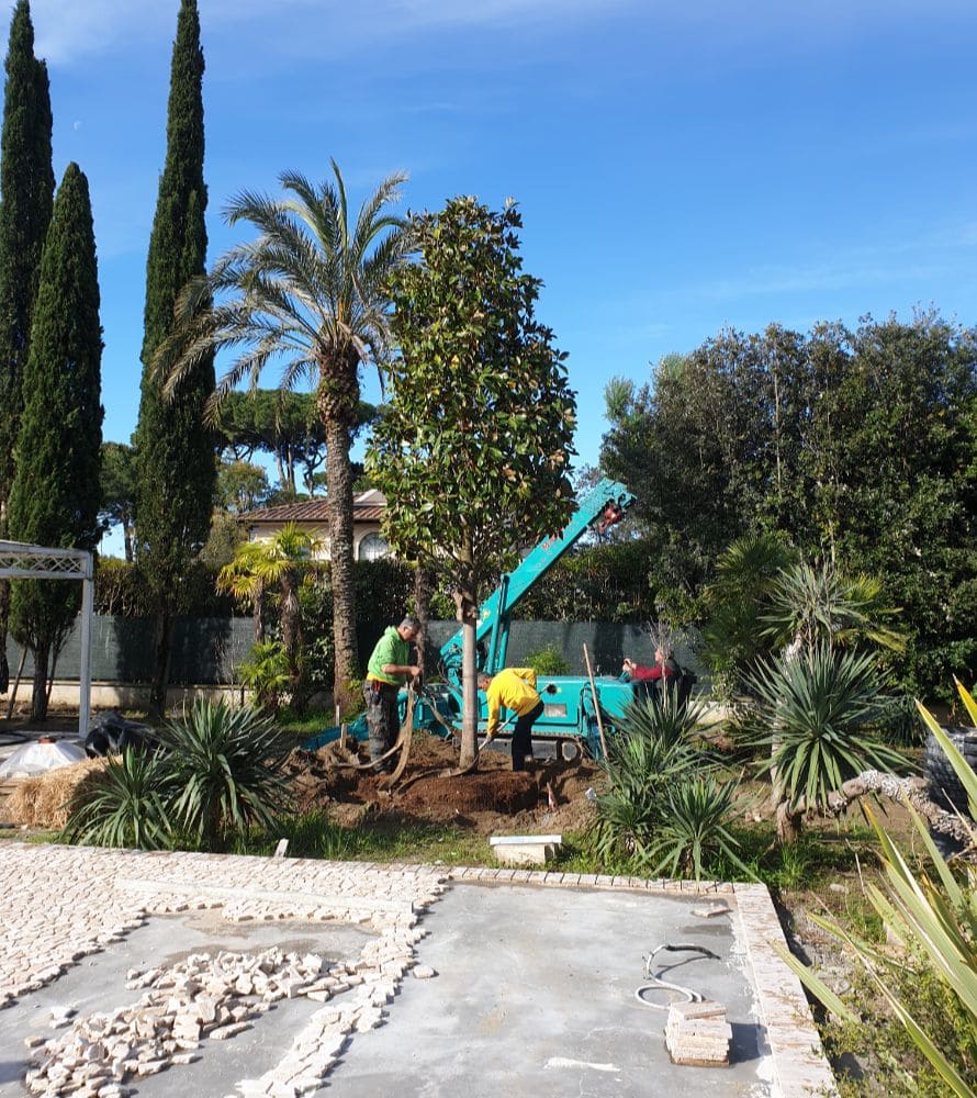 matana-progettazione-giardini-2