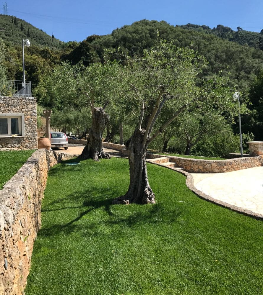 matana-progettazione-giardini-4