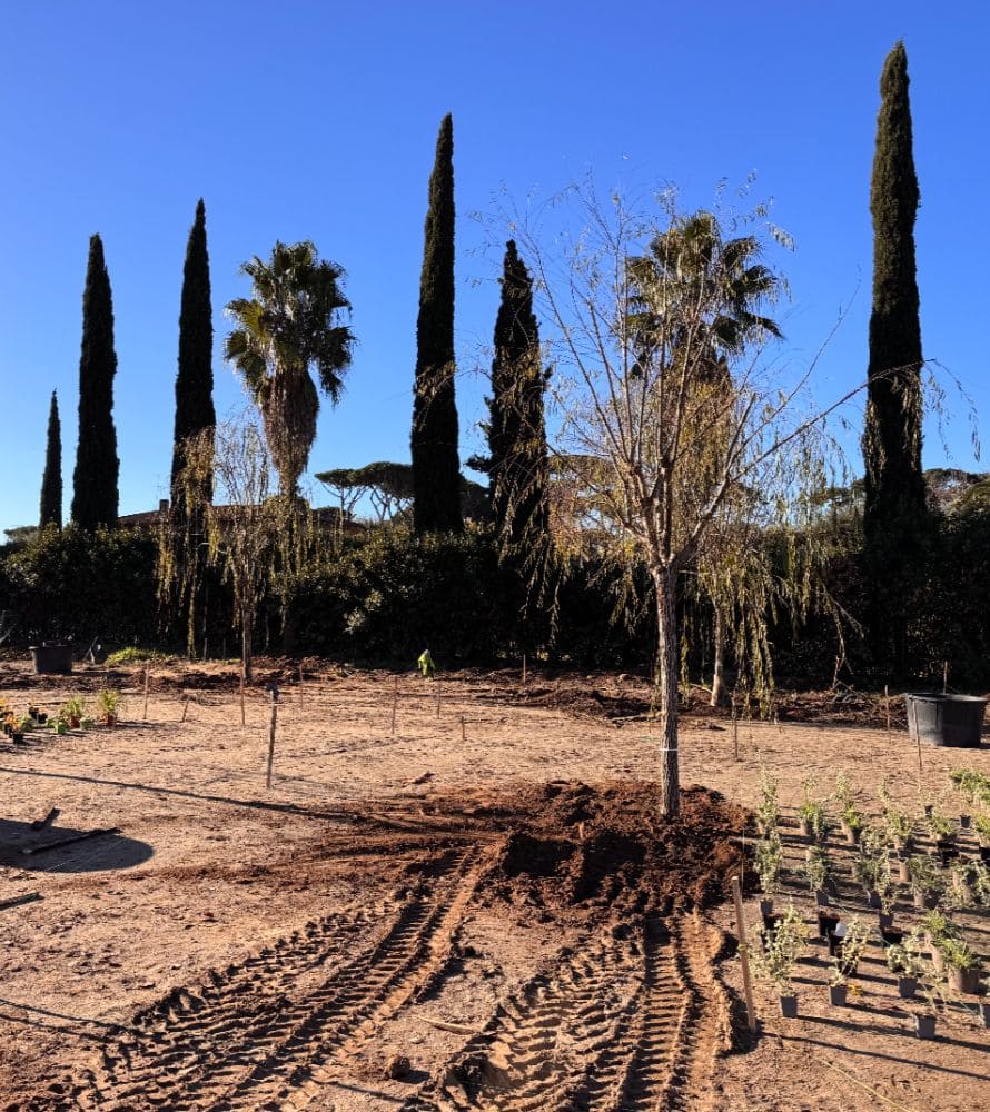 matana-progettazione-giardini-5