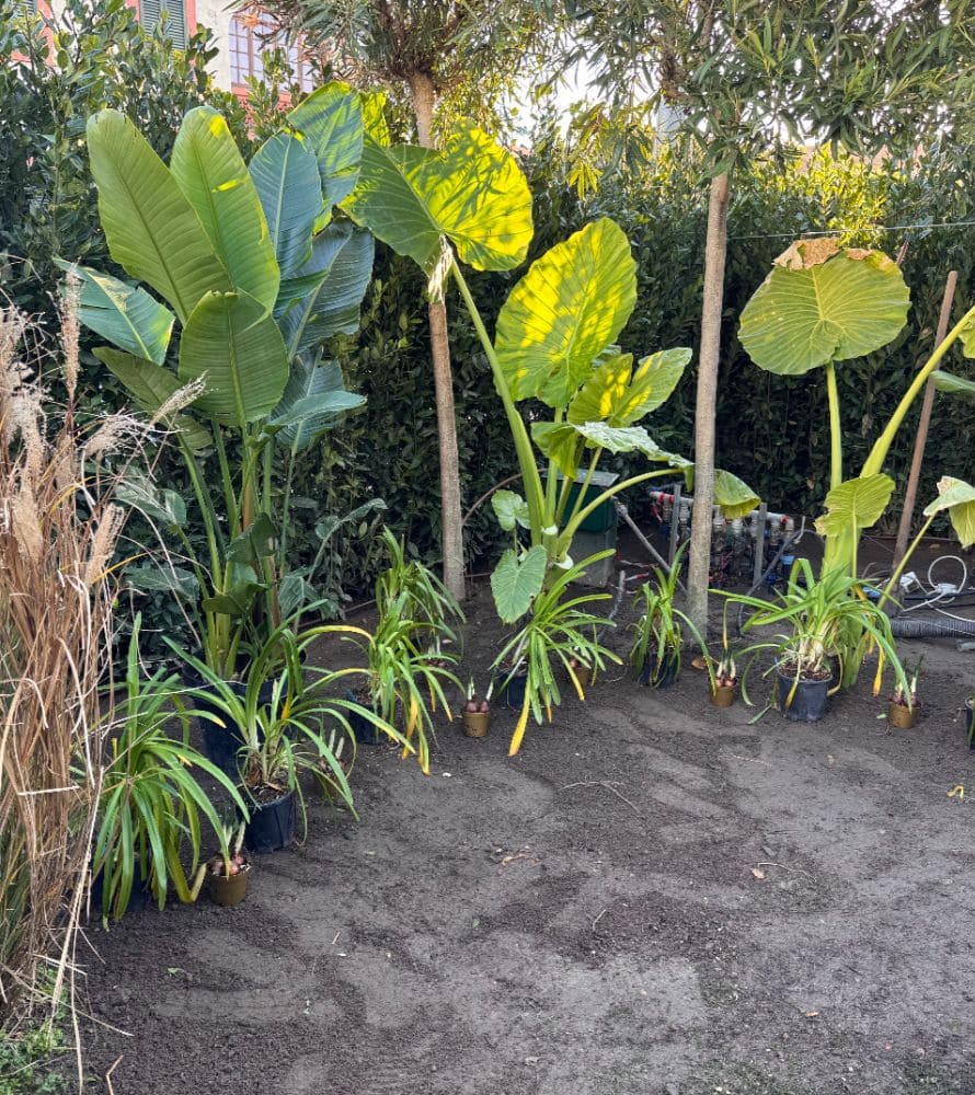 matana-progettazione-giardini-7